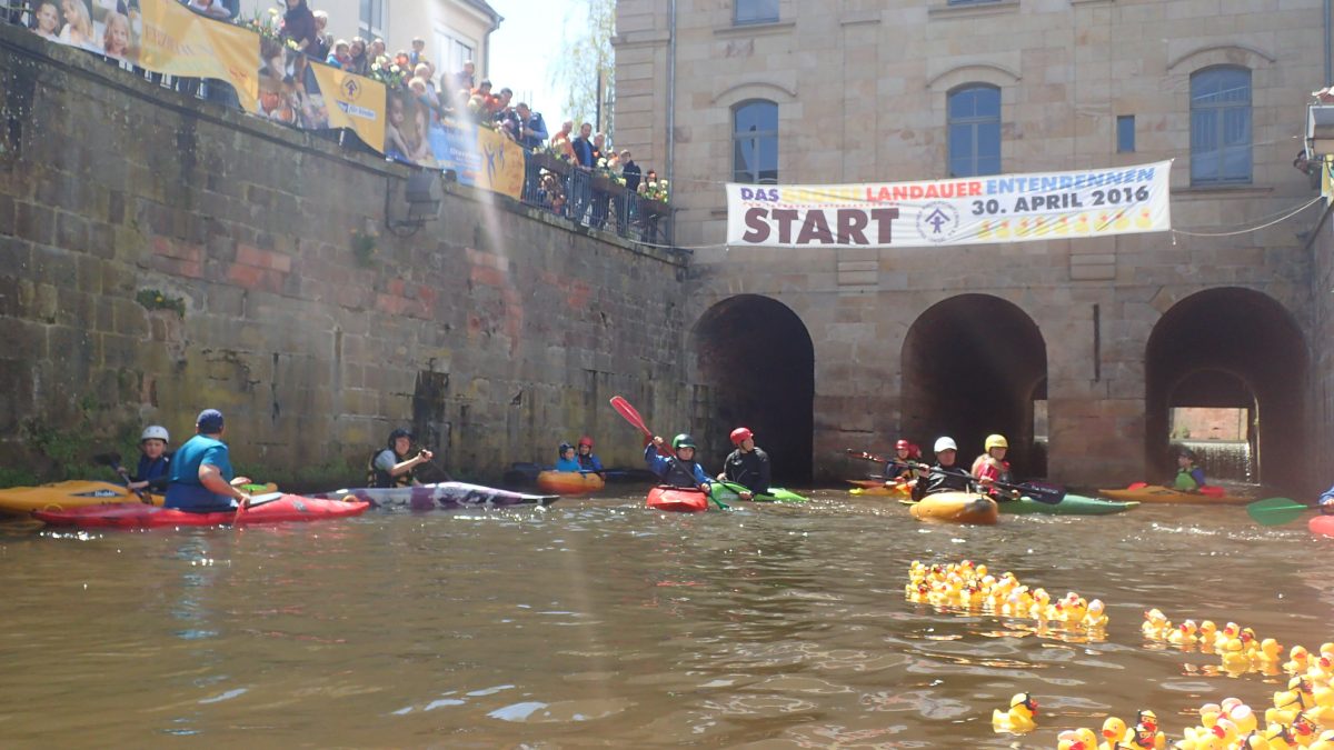Entenrennen Queich 2016