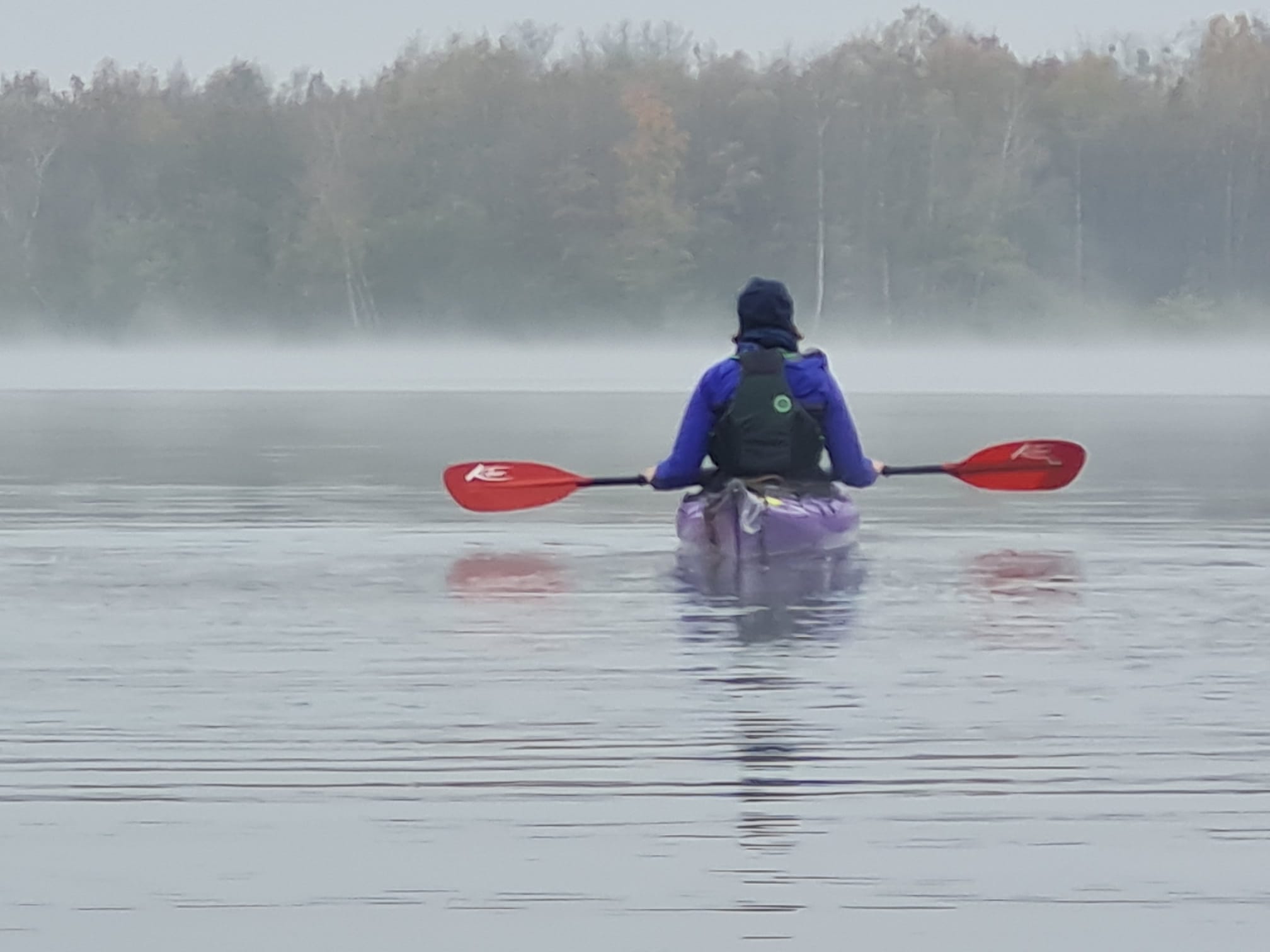10.11.2024 Eisfahrt