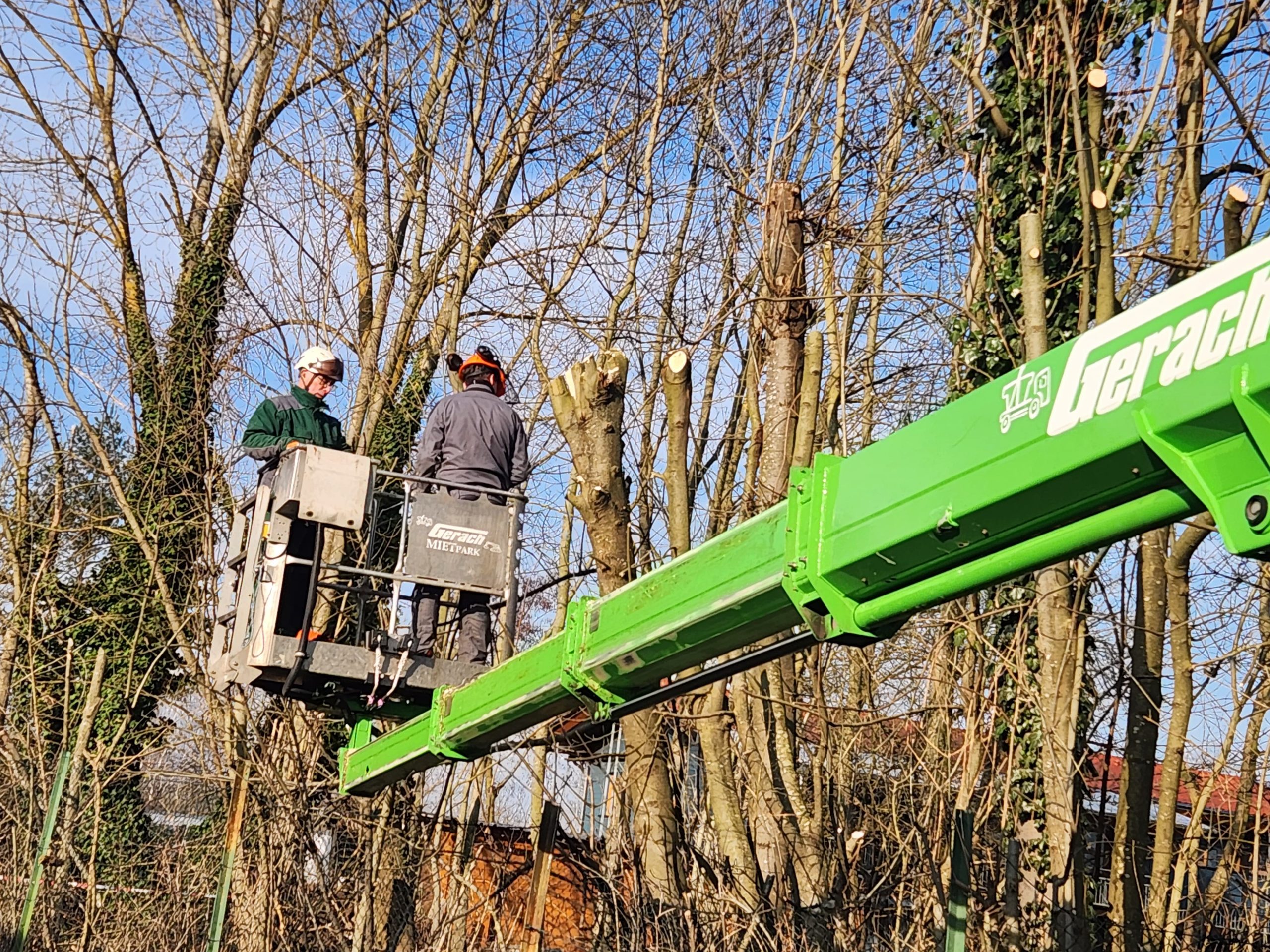08.02.2025 Arbeitseinsatz